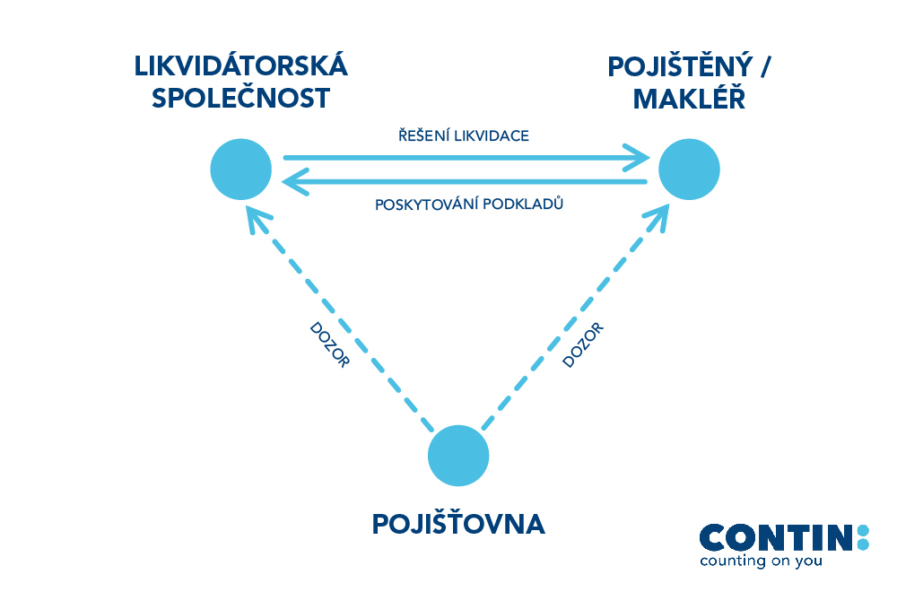 Grafické schéma fungování dohledu